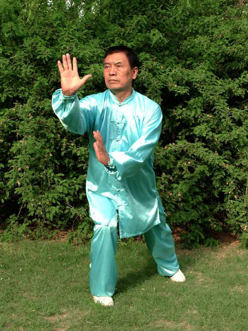 梁式八卦掌,吴氏太极拳 张全亮